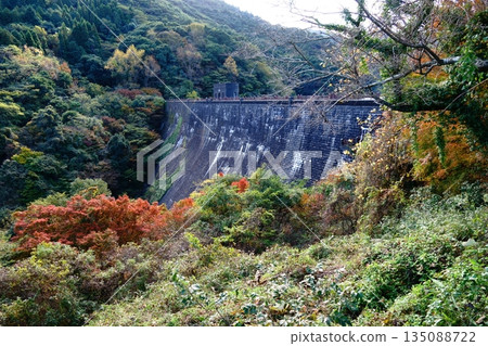 Kawachi Weir floating among autumn leaves 135088722