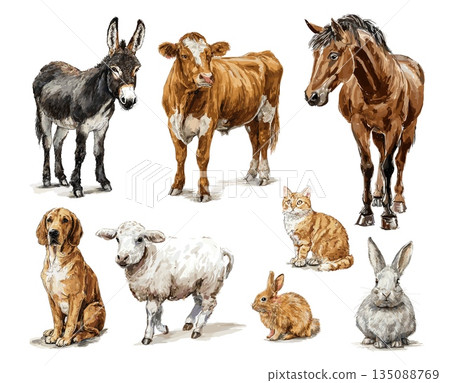 Watercolor farm animals. Livestock domestic animal in paint hand drawing style, donkey horse sheep cow rabbit dog cat farmers farmland friends set vector illustration Watercolor farm animals. Livestock domestic animal in paint hand drawing style, donkey horse sheep cow rabbit dog cat farmers farmland friends set vector illustration 135088769