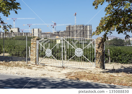 August 24, 2025: Entrance gate to the Myskhako winery vineyards near Novorossiysk, Russia, with green grapevines and sky, illustrating wine production, agriculture and regional identity 135088830