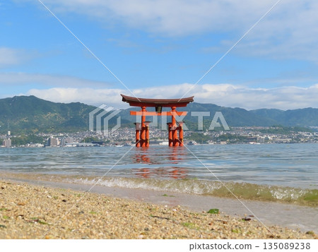 Itsukushima Shrine Otorii floating in the sea 135089238