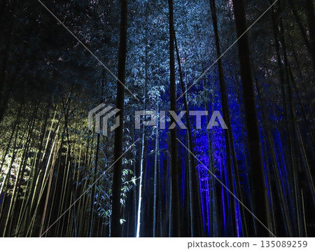 Illuminated bamboo forest path at Arashiyama Hanatoro 135089259