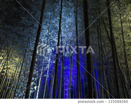嵐山花取路的燈光竹林小徑 嵐山花取路的燈光竹林小徑 135089260