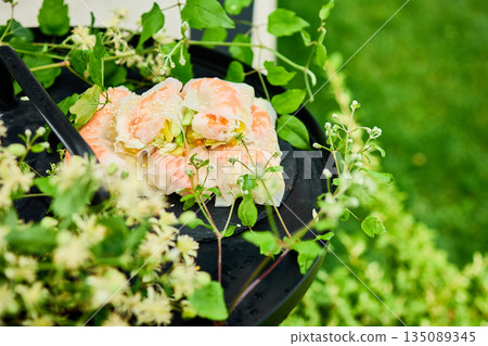 Fresh spring rolls served on a decorative tray surrounded by greenery in a vibrant outdoor setting 135089345