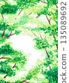 手繪水彩插圖，陽光透過樹葉灑下，背景 135089692