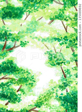 Hand-painted watercolor illustration, sunlight filtering through the trees, background 135089692