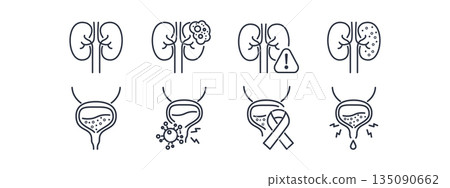 Urology icon set featuring kidney and bladder disease symbols. Medical outline graphics for renal health, urinary tract infections, and cancer awareness materials. Urology icon set featuring kidney and bladder disease symbols. Medical outline graphics for renal health, urinary tract infections, and cancer awareness materials. 135090662