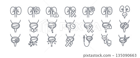Urology icon set featuring kidney disease, bladder conditions, and prostate health symbols in clean line style for medical websites and healthcare applications. Vector. Editable stroke 135090663