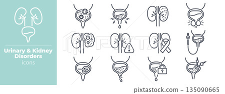 Medical urinary system icons showing kidney stones, bladder infections, and prostate gland illustrations in minimal outline design for health resources and clinical use. Vector. Editable stroke 135090665