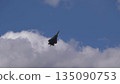 25 July 2021, Russia, Zhukovsky. Su-57 fighter jet performs aerobatic maneuvers at MAKS 2021 air show, showcasing advanced military aviation, precision flying, and aircraft performance. 135090753