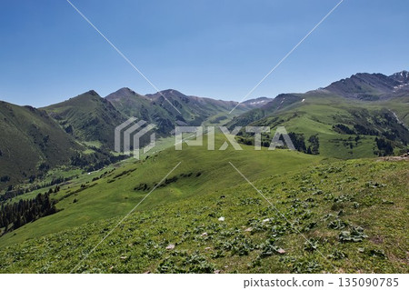 Lush green valley with mountain range under clear blue sky Lush green valley with mountain range under clear blue sky 135090785