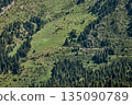 Panoramic view of a vast green mountain slope covered with lush evergreen forest 135090789