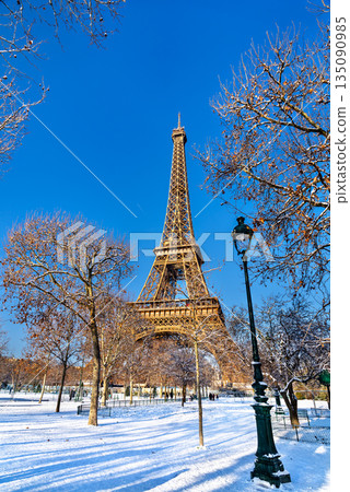 Eiffel Tower stands in Paris, France. Winter scene features the iron monument framed by snow-covered trees and a lamp post in the Champ de Mars park under a blue sky Eiffel Tower stands in Paris, France. Winter scene features the iron monument framed by snow-covered trees and a lamp post in the Champ de Mars park under a blue sky 135090985