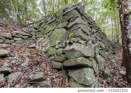 佐之倉掛城遺址 佐之倉掛城遺址 135091305