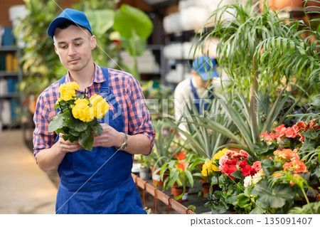 Young male seller holding begonia in pot 135091407