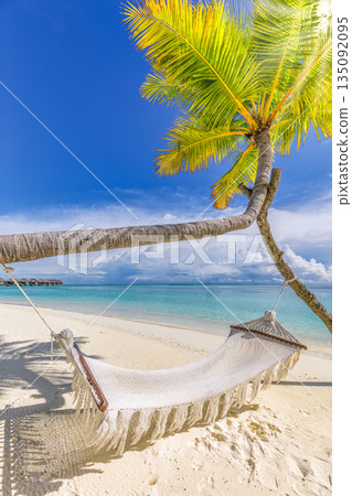 Fantastic summer sunny tropical beach with palm trees swing hammock over soft white sand calm turquoise ocean vertical background remote serene vacation paradise tropical island getaway wallpaper Fantastic summer sunny tropical beach with palm trees swing hammock over soft white sand calm turquoise ocean vertical background remote serene vacation paradise tropical island getaway wallpaper 135092095