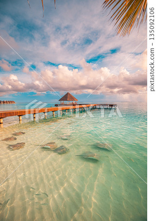 Stunning Maldives beach sunset with luxury resort and overwater villas calm ocean lagoon shallow bay marine life stingrays tropical summer vacation destination tranquil travel tourism background Stunning Maldives beach sunset with luxury resort and overwater villas calm ocean lagoon shallow bay marine life stingrays tropical summer vacation destination tranquil travel tourism background 135092106
