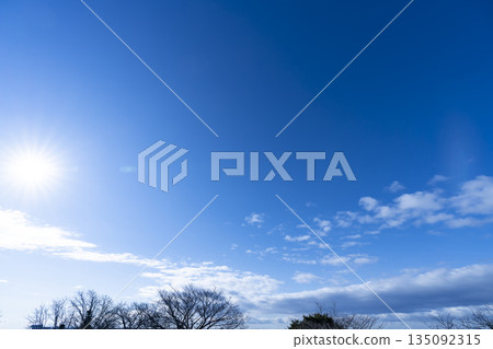 Winter sky, clouds and trees Winter sky, clouds and trees 135092315