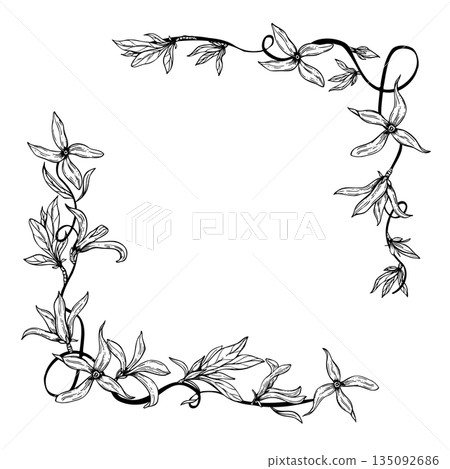 Spring forsythia flowers on climbing branch black ink square border. Monochrome blooming plant vector isolated illustration. Floral frame with empty space for text. For wedding invitation Spring forsythia flowers on climbing branch black ink square border. Monochrome blooming plant vector isolated illustration. Floral frame with empty space for text. For wedding invitation 135092686
