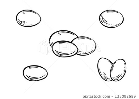 Bird eggs set vector isolated illustration painted by black inks. Monochrome engraving of chicken or duck white egg composition. Cooking ingredients in line art style. Symbol of new life Bird eggs set vector isolated illustration painted by black inks. Monochrome engraving of chicken or duck white egg composition. Cooking ingredients in line art style. Symbol of new life 135092689