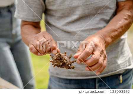 A man holding a turban shell (Photo courtesy of Oki Seaside Resort Miyabi) 135093382