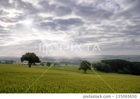 Pruemm, Eifel, Rhineland-Palatinate, Germany 135093650