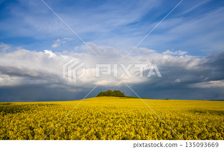 Eifel landscape, Rhineland-Palatinate, Germany Eifel landscape, Rhineland-Palatinate, Germany 135093669