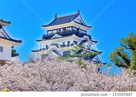 [Hiroshima Prefecture] Fukuyama Castle in spring with cherry blossoms (after reconstruction) Fukuyama Castle Cherry Blossom Festival 135093687