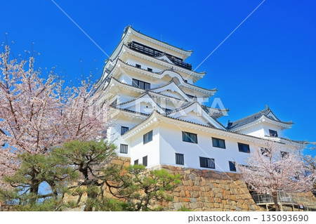 [廣島縣] 春天的櫻花盛開的福山城（重建後）福山城櫻花節 135093690