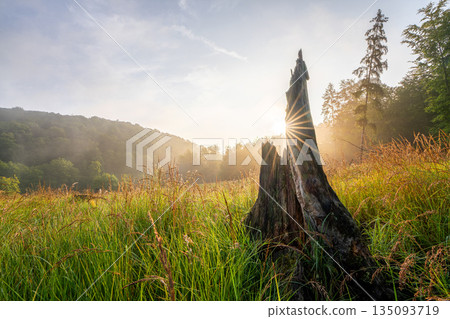 Odenthal, Bergisches Land, North Rhine Westphalia, Germany 135093719