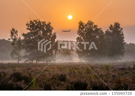 Wahner Heather, Bergisches Land, North Rhine Westphalia, Germany 135093720