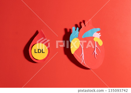 High LDL cholesterol increases the risk of cardiovascular disease. LDL cholesterol particle inside a blood droplet and heart anatomy made from paper on red background. Atherosclerosis concept. 135093742
