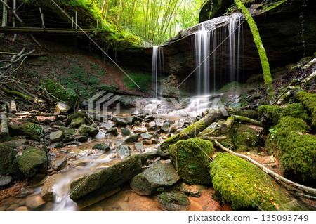 Landscape image with small creek, Eifel, Germany Landscape image with small creek, Eifel, Germany 135093749
