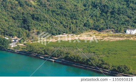 Jan 3 2026 Kuk Po Reed Field Rural Wetland Landscape Hong Kong Jan 3 2026 Kuk Po Reed Field Rural Wetland Landscape Hong Kong 135093819