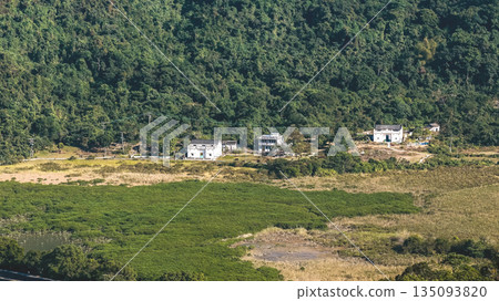 Jan 3 2026 Kuk Po Reed Field Rural Wetland Landscape Hong Kong Jan 3 2026 Kuk Po Reed Field Rural Wetland Landscape Hong Kong 135093820
