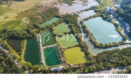Jan 3 2026 Fish Pond Luk Keng Rural Wetland Landscape Hong Kong Jan 3 2026 Fish Pond Luk Keng Rural Wetland Landscape Hong Kong 135093842