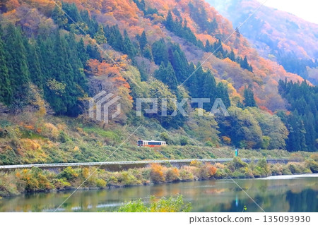 Autumn leaves in Oku-Aizu and the Tadami Line / Kanayama Town, Onuma District, Fukushima Prefecture Autumn leaves in Oku-Aizu and the Tadami Line / Kanayama Town, Onuma District, Fukushima Prefecture 135093930