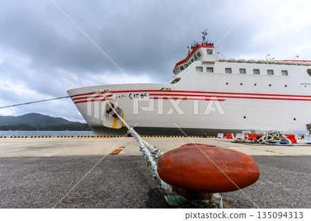 停泊在港口的白色渡輪 135094313