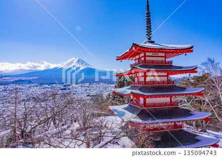 (Yamanashi Prefecture) Snowfall at Arakurayama Sengen Park, Chureito Pagoda, and Mount Fuji (Yamanashi Prefecture) Snowfall at Arakurayama Sengen Park, Chureito Pagoda, and Mount Fuji 135094743