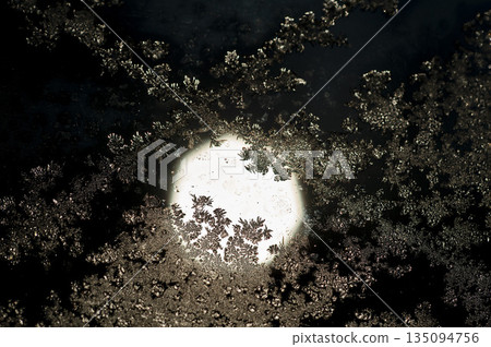 玻璃窗上形成了冰晶。 玻璃窗上形成了冰晶。 135094756