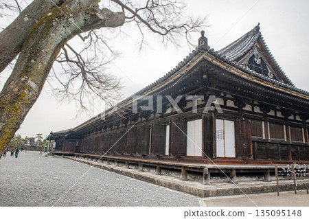Sanjusangendo Temple in early spring, Kyoto City 135095148