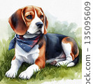 Watercolor drawing of beagle dog 135095609