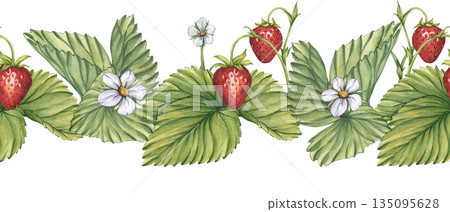 Seamless strawberry border. A horizontal pattern of ripe red strawberries, green leaves, and white flowers. A watercolor seamless illustration of red berry branches for tea, jam, and cosmetic labels 135095628