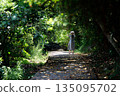 A woman walking along a forest path surrounded by greenery 135095702