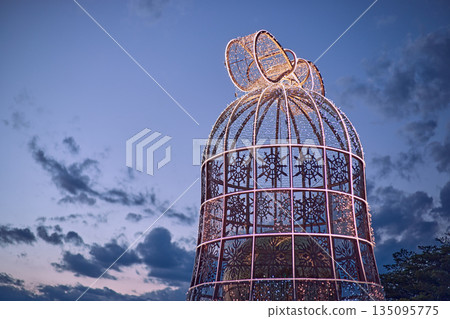 Light show and colorful flower garden decoration 135095775