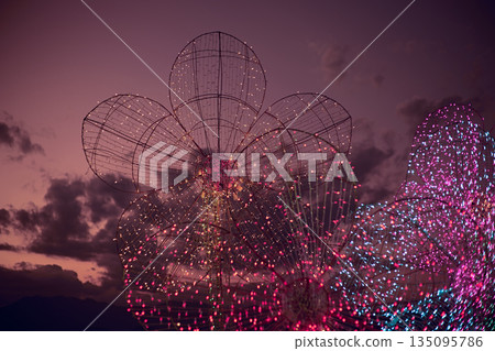 Light show and colorful flower garden decoration Light show and colorful flower garden decoration 135095786