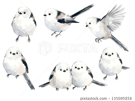 水彩風格的長尾山雀插圖 水彩風格的長尾山雀插圖 135095858