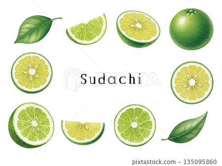 水彩風格的須田立插畫 135095860