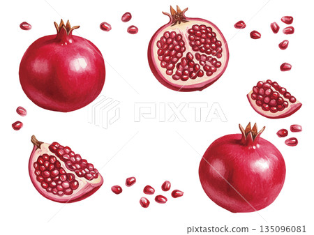 Watercolor style pomegranate illustration 135096081