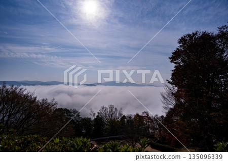 從備中松山城(高橋市)看到的雲海 從備中松山城(高橋市)看到的雲海 135096339