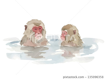 Watercolor illustration of a Japanese monkey taking a bath 135096358